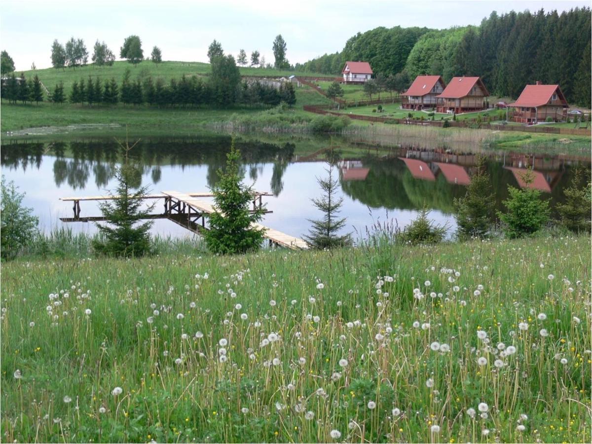 Hexagon Honey House+ Prywatna Plaza+Jezioro+ Stawy+ Gospodarstwo+ Pasieka Srokowo Exteriör bild